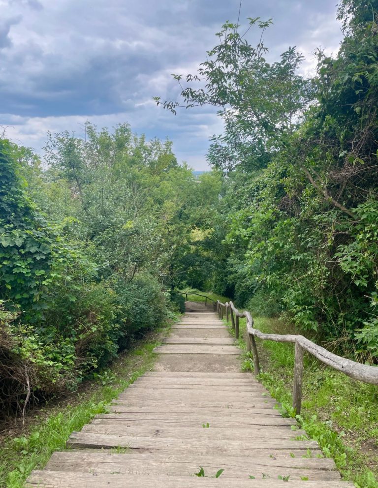 Blick auf eine Treppe zum Kienberg hochwärts, umgeben von dichtem Grün und herbstlichen Bäumen 